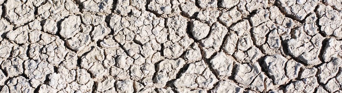 A parched, cracked landscape illustrating the effects of climate change