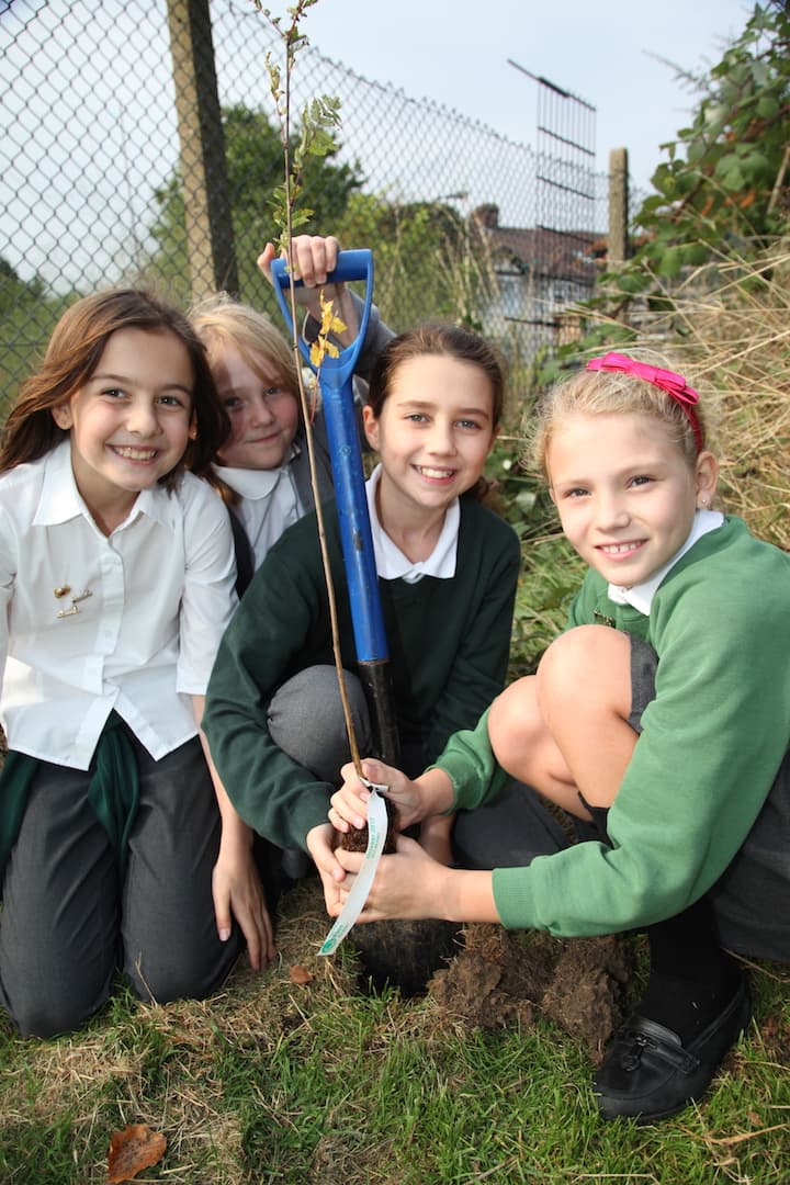 Children planting trees at school through the UK Tree Planting Project