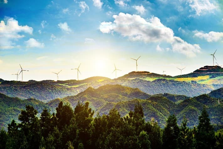 Efficiency in sustainability reporting