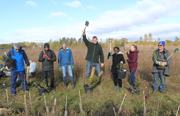 Team participating in a corporate tree planting event