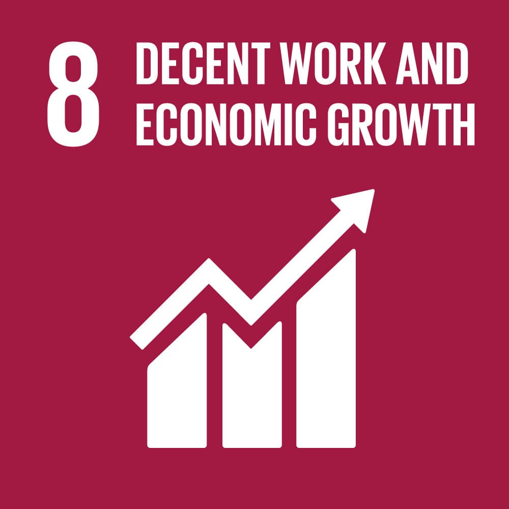 UN SDG 8 – Decent Work and Economic Growth